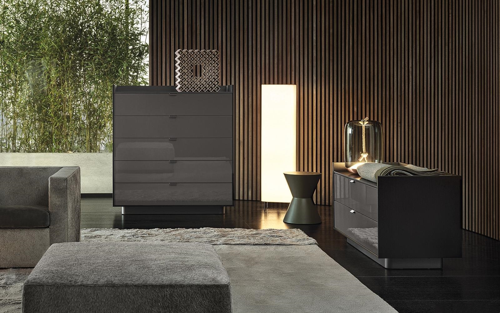 Sleek Gray Chest of Drawers with Glossy Finish and Minimalist Metal Handles