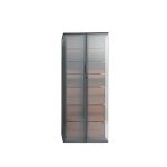 Modern Double-Door Storage Cabinet with Frosted Glass and Multiple Shelves