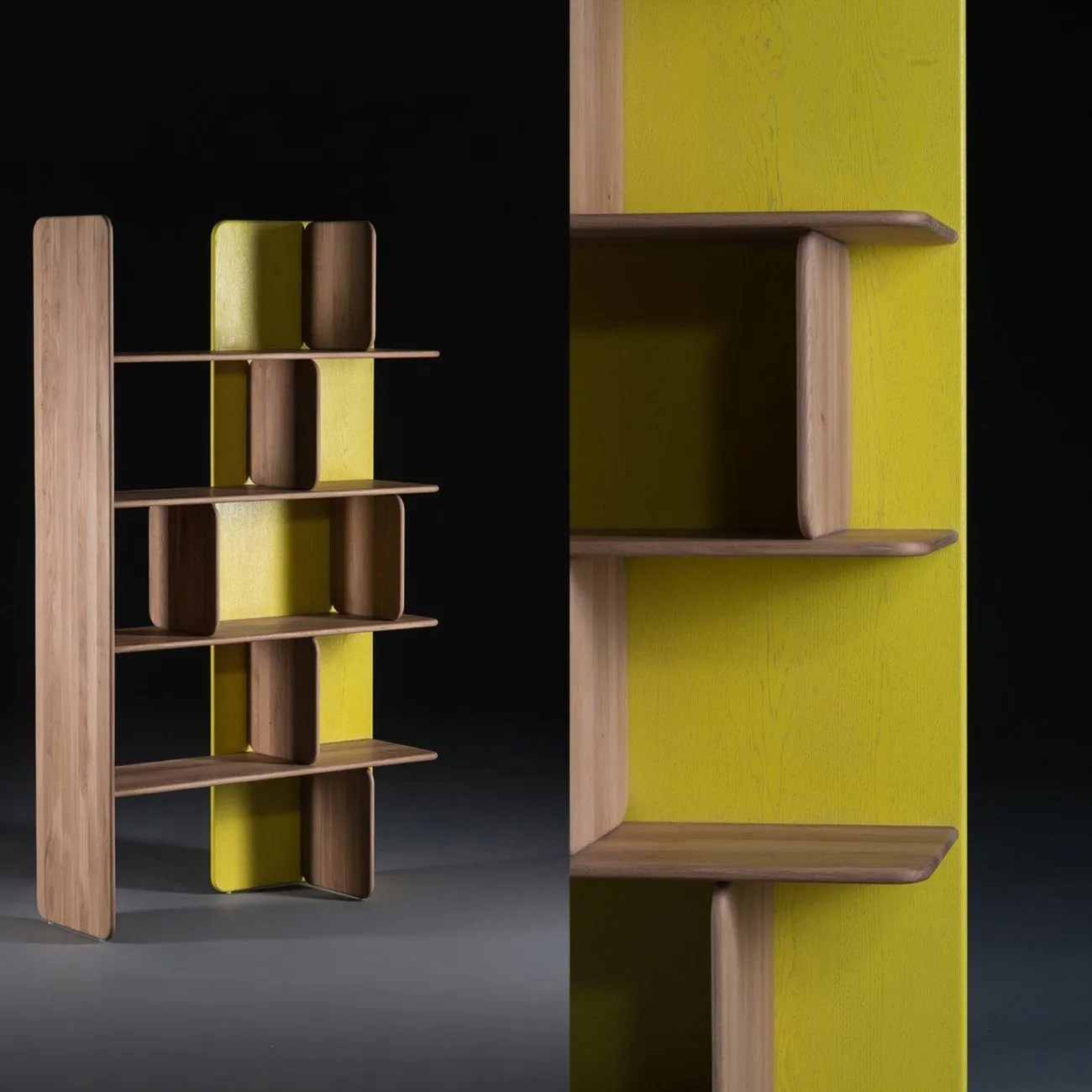 Modern Asymmetric Wooden Wall Mounted Display Shelf Bookcase